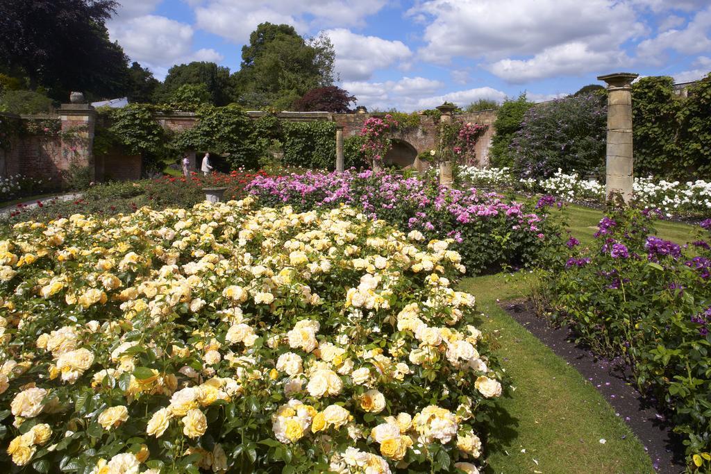 Hever Castle Luxury Bed And Breakfast Edenbridge Exteriör bild